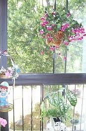 4th image of 1011 41st Ave NE APT 209