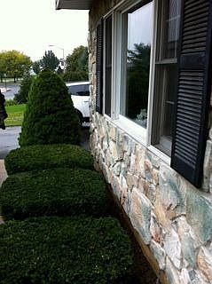 2nd image of 528 E Linden St