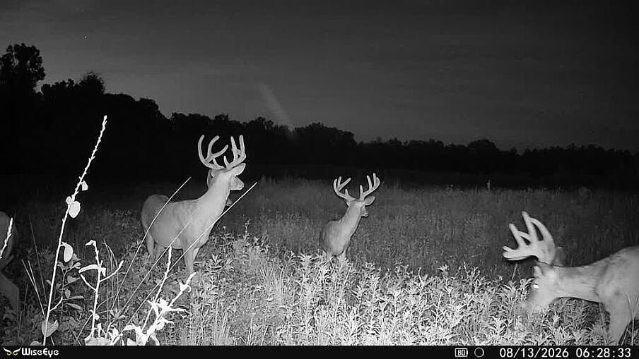1st image of 5115 Highway 200