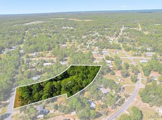 3351 S Junket Dr, Homosassa, FL 34448