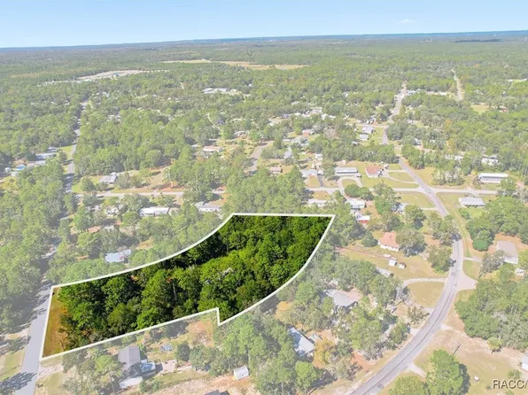 3351 S Junket Dr, Homosassa, FL 34448