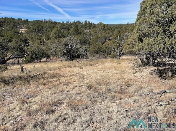 28 Bronco Dr, Timberon, NM 88350