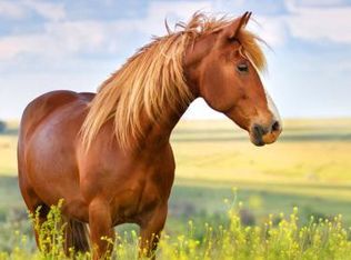 908 Holy Cross Rd, Street, MD 21154