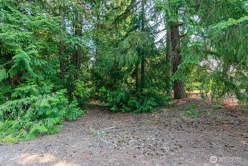 3rd image of 110 Rainier Court