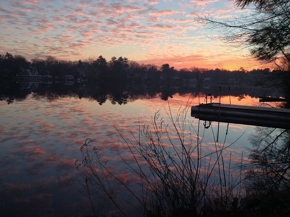 Unfiltered view,  backyard