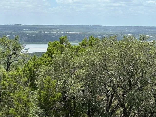 6232 Paradise Manor Cir — Photo 11