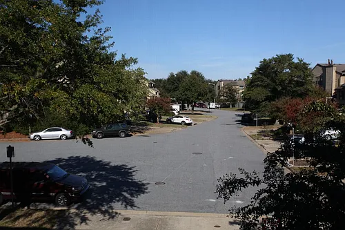 2206 Hermit Thrush Ln Photo 1