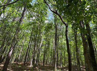 Old Highway 5, West Blocton, AL 35184