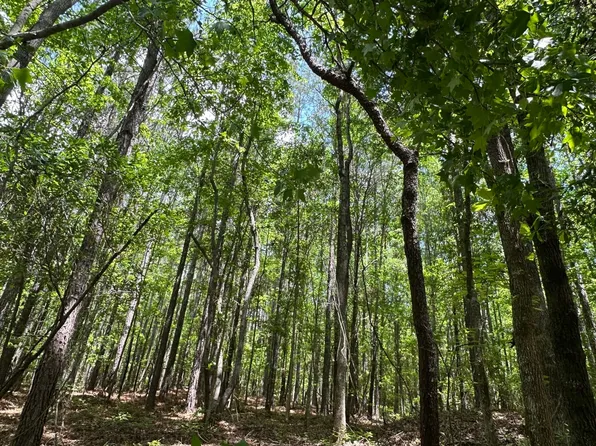 Old Highway 5, West Blocton, AL 35184