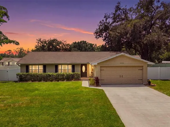23252 CHARLSTON PLACE, LAND O LAKES, FL 34639