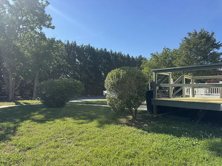 1017 Baccharis Dr — Photo 3