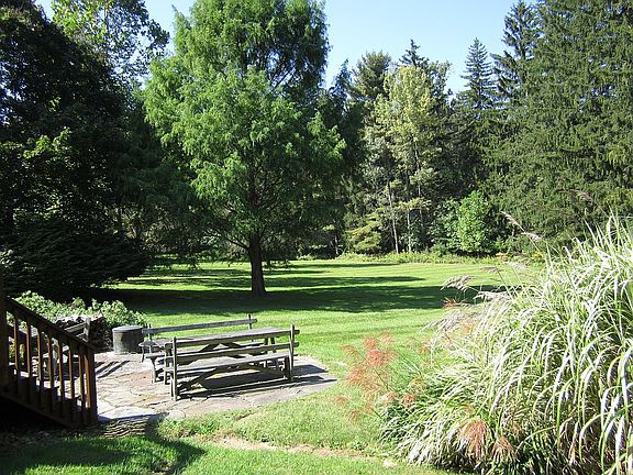 Patio, yard view