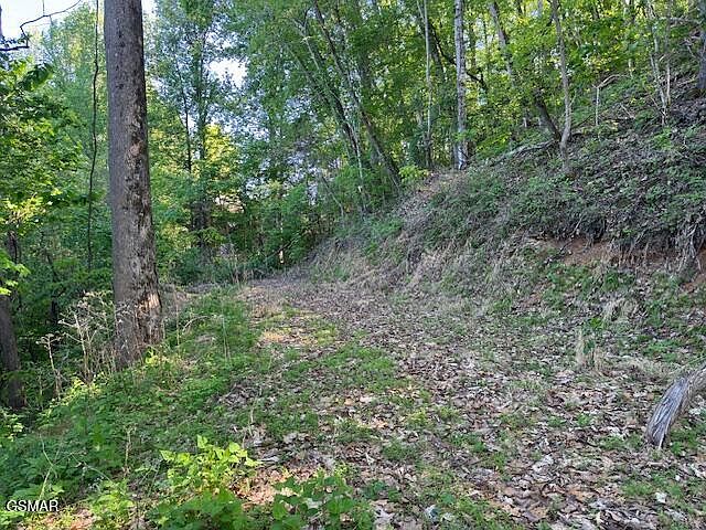 1st image of LOT 13 Dove View Rd