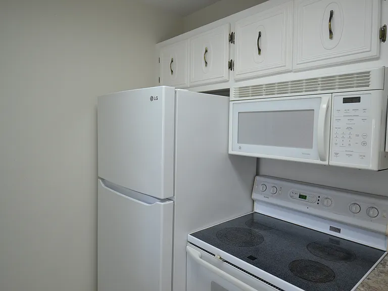 329 Moorings Cove Dr — Photo 30