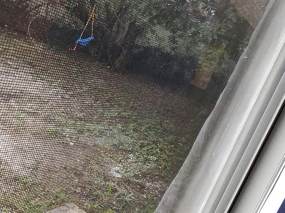 view out your laundry room door