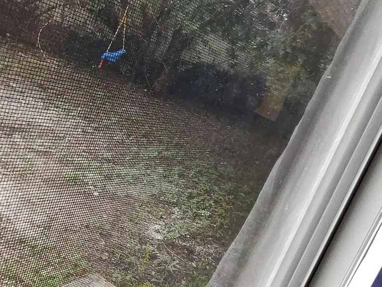 view out your laundry room door