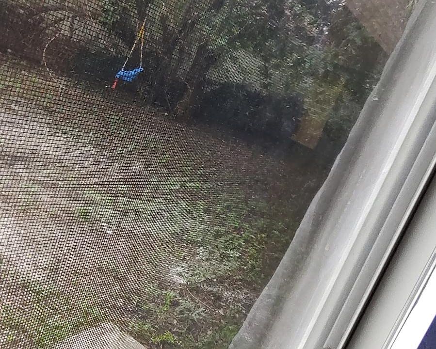 view out your laundry room door