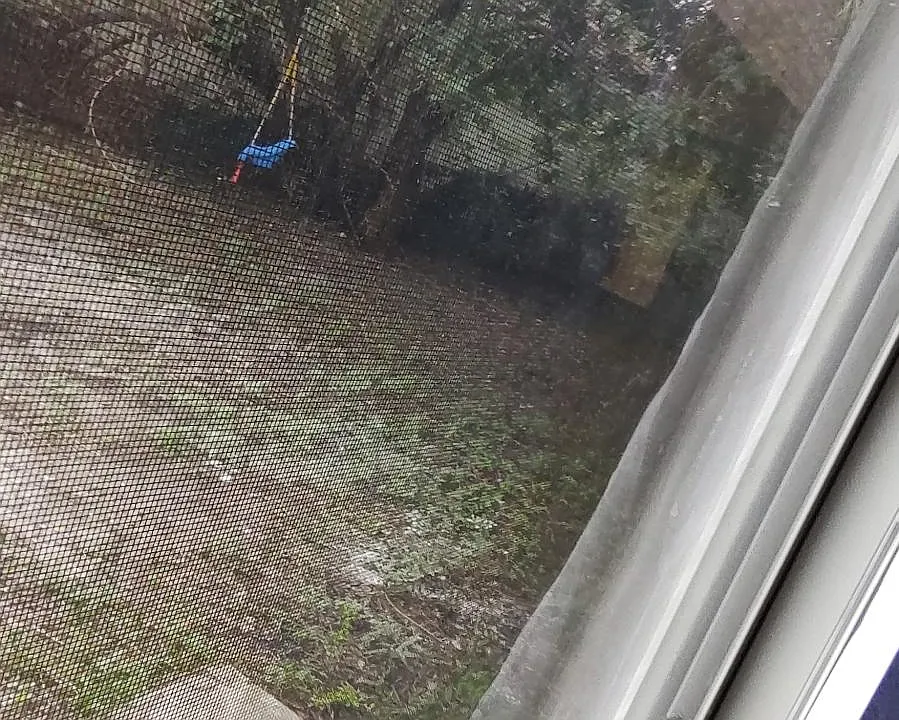 view out your laundry room door