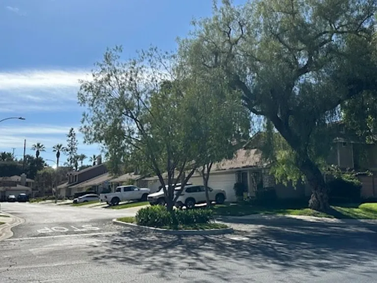 923 Lotus Cir — Photo 31