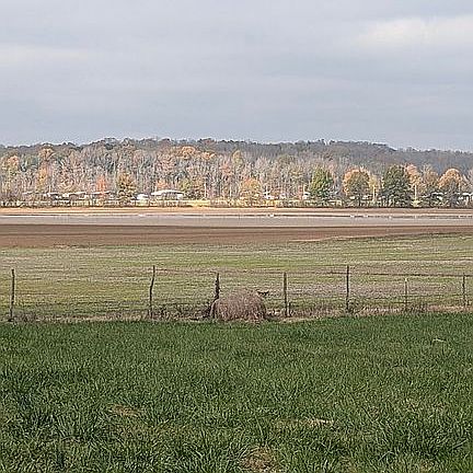 View from front-Beech River