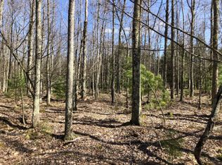 0 V/l Fld E #M63, Luther, MI 49656