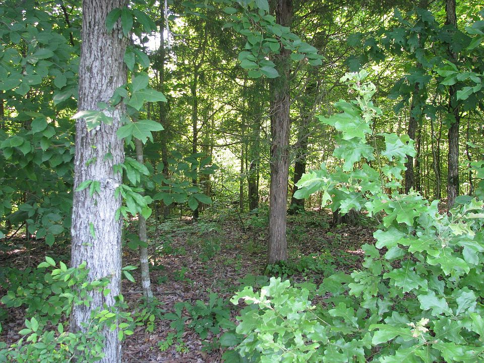 1st image of 0 Big Richland Dr #10.00
