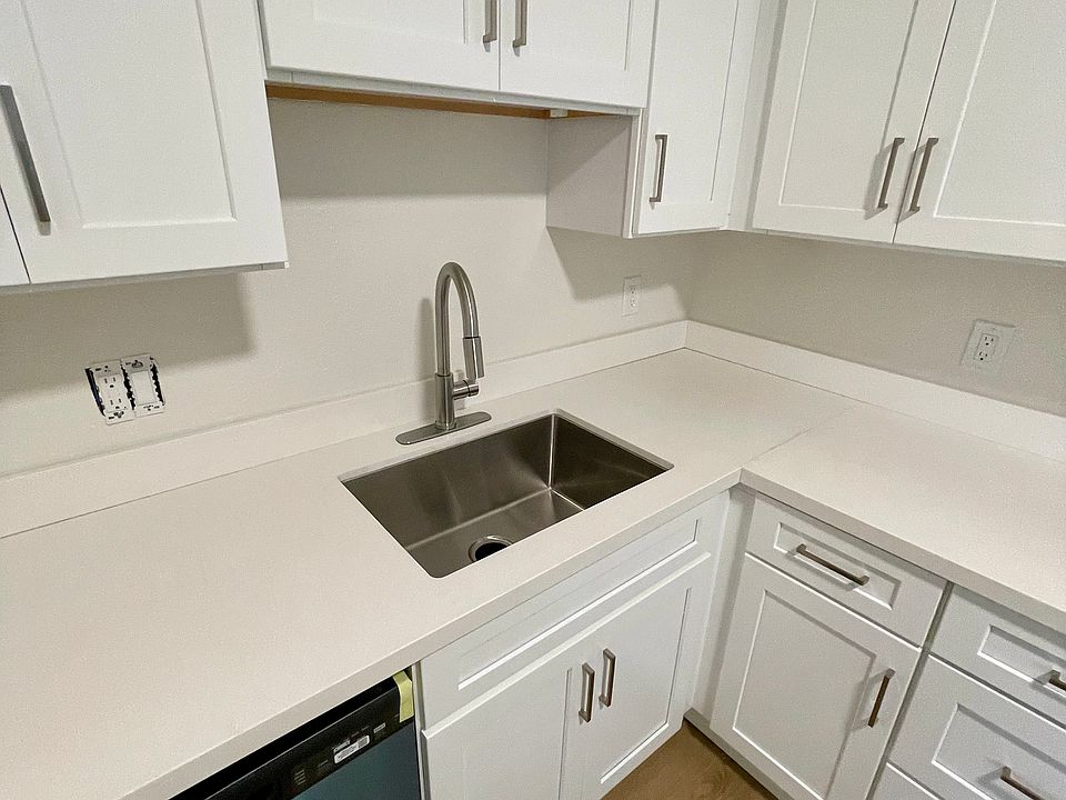 Stainless Steel Sink and Dishwasher