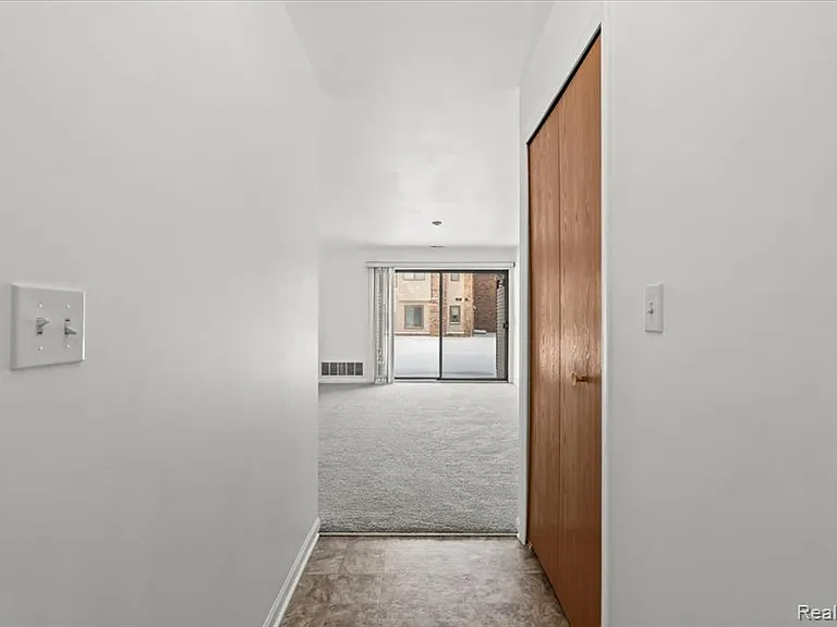 42713 Lilley Pointe Dr #213 — Photo 14