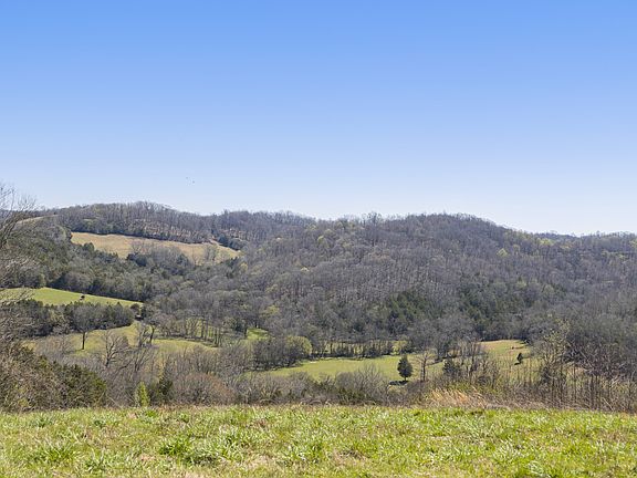 11th image of this home