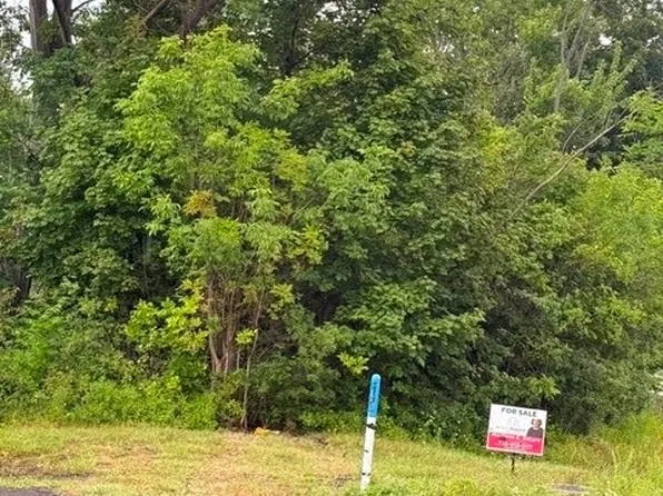 Birchwood Dr E Lot 46, Hamburg, NY 14075