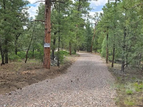 165 Mosswood Dr, Cotopaxi, CO 81223