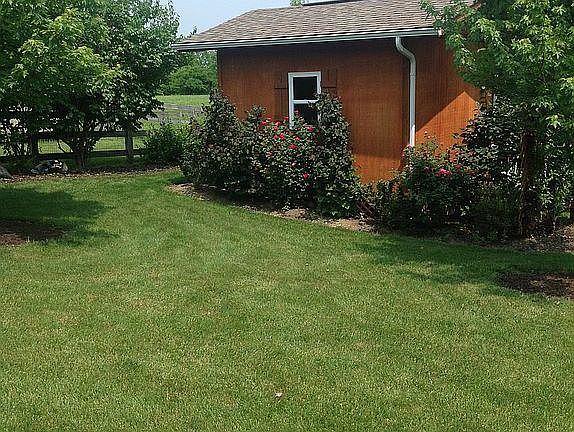 Storage Shed