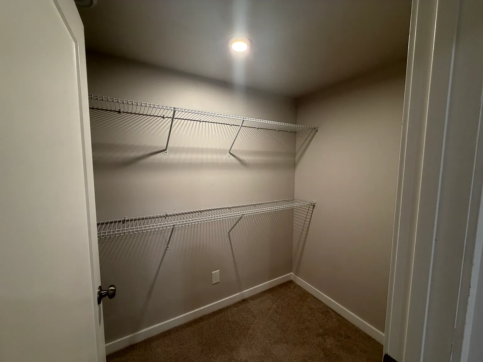 1 bed, $750 — Photo 3