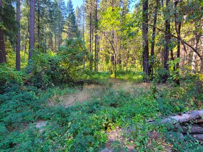 LOT 10&11 Frontier Rd, Oak Run, CA, 96069