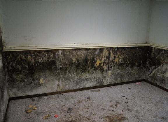 5th image of 12431 Olive St NW