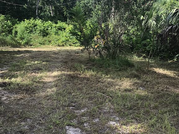 3rd image of 38705 Deerwoods Dr