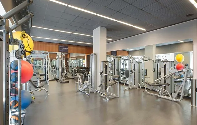 Rented by Gotham Organization | media 12