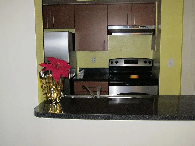 425 Fountainhead Cir — Photo 8