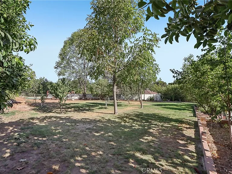1184 Lyndhurst Dr — Photo 31