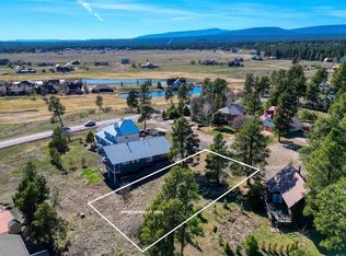 51 Trap Ct, Pagosa Springs, CO 81147