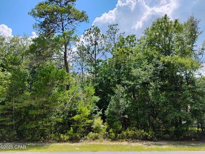 LOT 3 Shenandoah Blvd, Chipley, FL, 32428