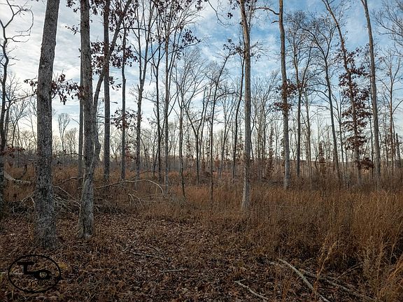4th image of 0 Lonesome Pine Rd