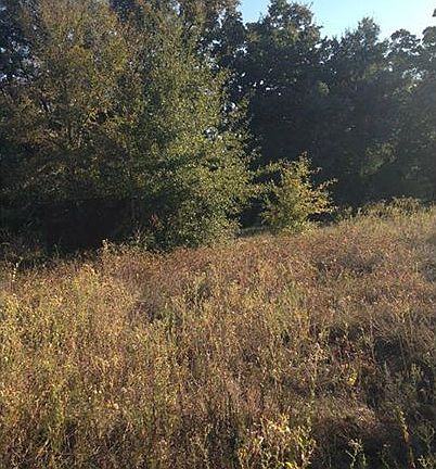 2nd image of 8550 County Road 312