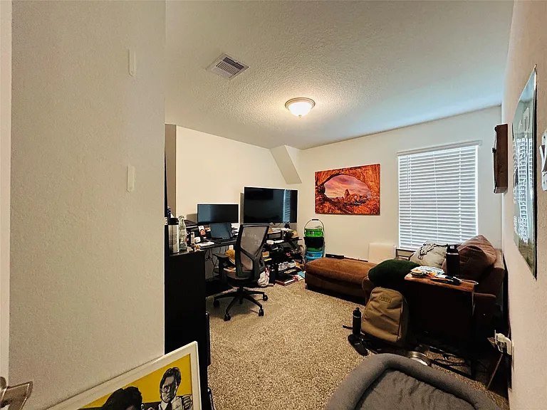 29403 Georgia Throw Ln — Photo 24