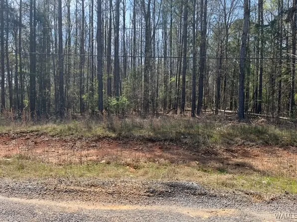 186 Underwood Rd, Brent, AL 35034