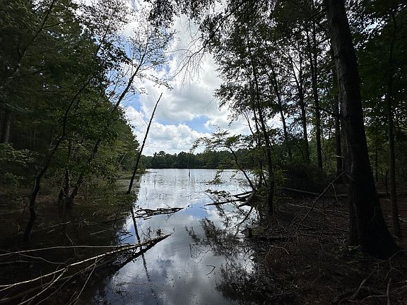 3rd image of 1938 County Road 3305