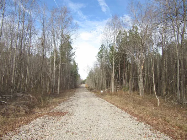 TRACT 2 State Highway 231 Lot 2, Spring Hope, NC 27882