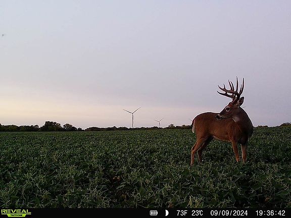 4th image of Cavalry Rd