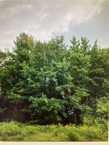 State Route 55, Liberty, NY, 12754