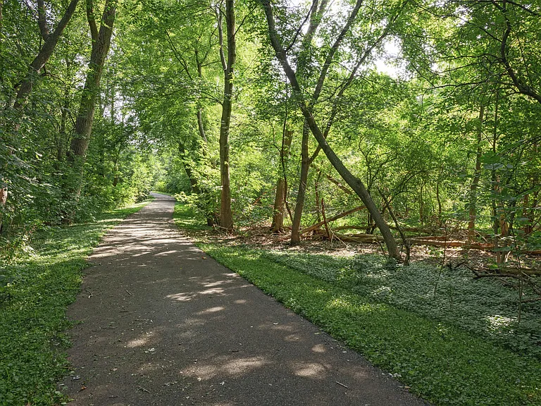 Mallard Creek — Photo 18